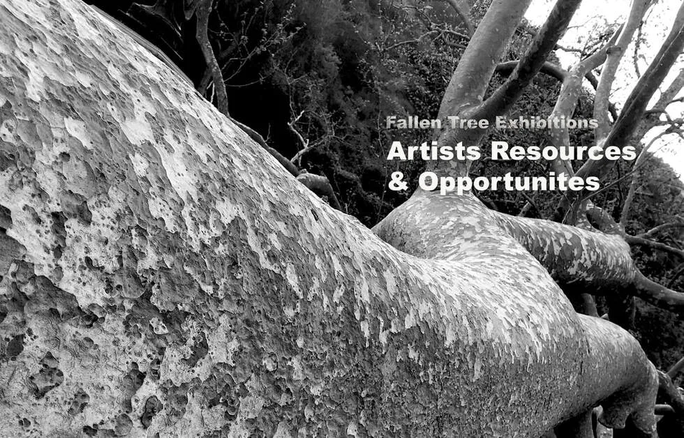 Fallen Tree Exhibitions artists resources and opportunities